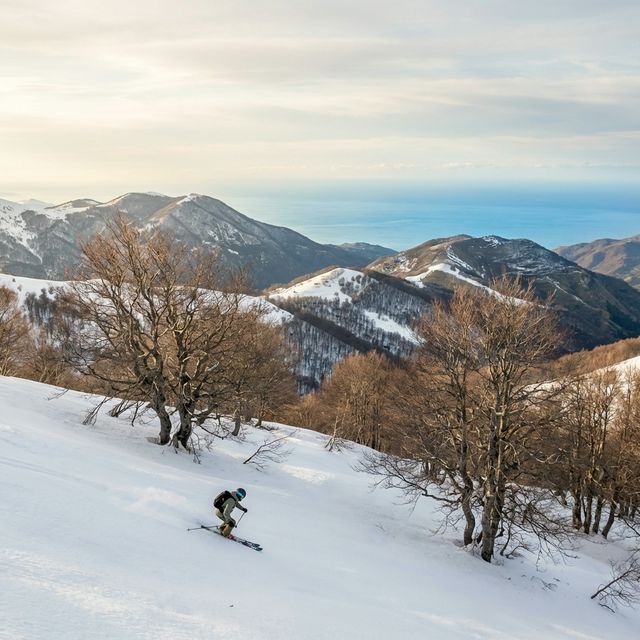 Foresta innevata sugli Appennini con sentiero tra gli alberi
